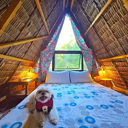 The Secret Hut