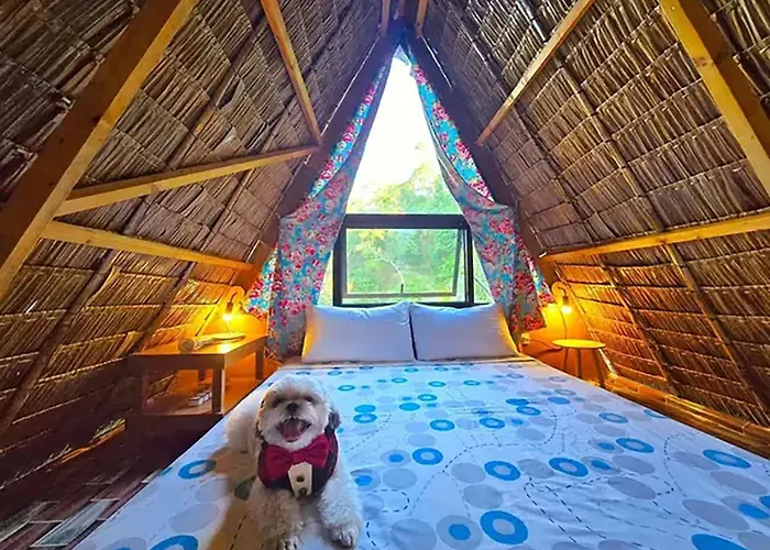 Aparthotel The Secret Hut *