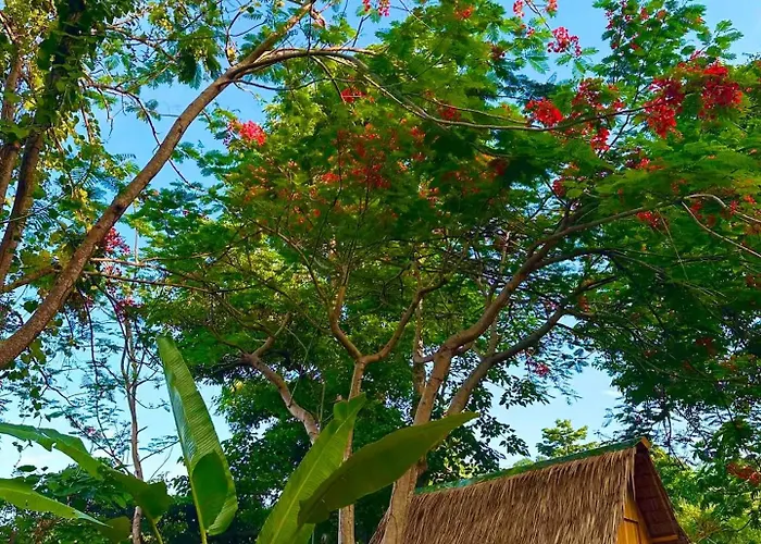 The Secret Hut Appart hôtel *